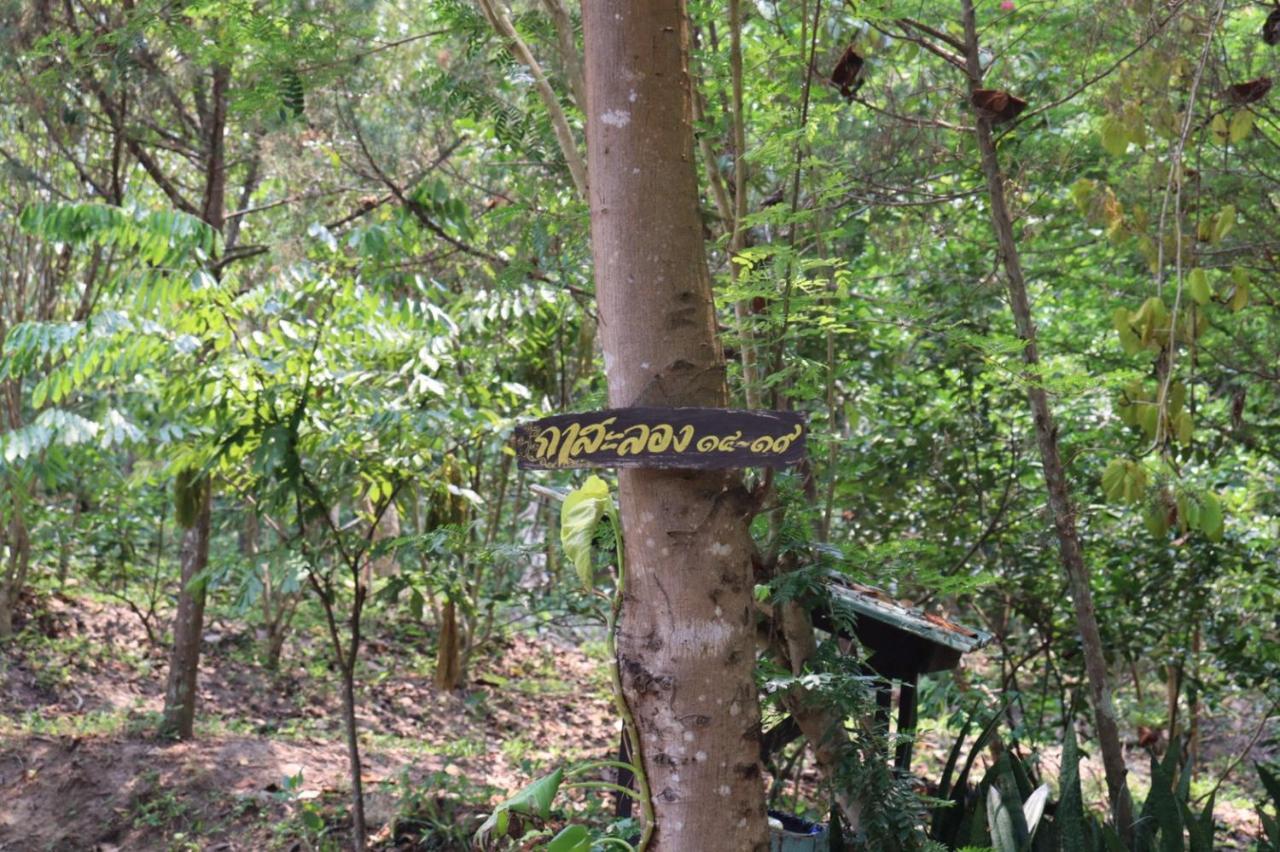 Marisa Resort & Spa Chiang Dao Ban Muang Ngai Eksteriør bilde